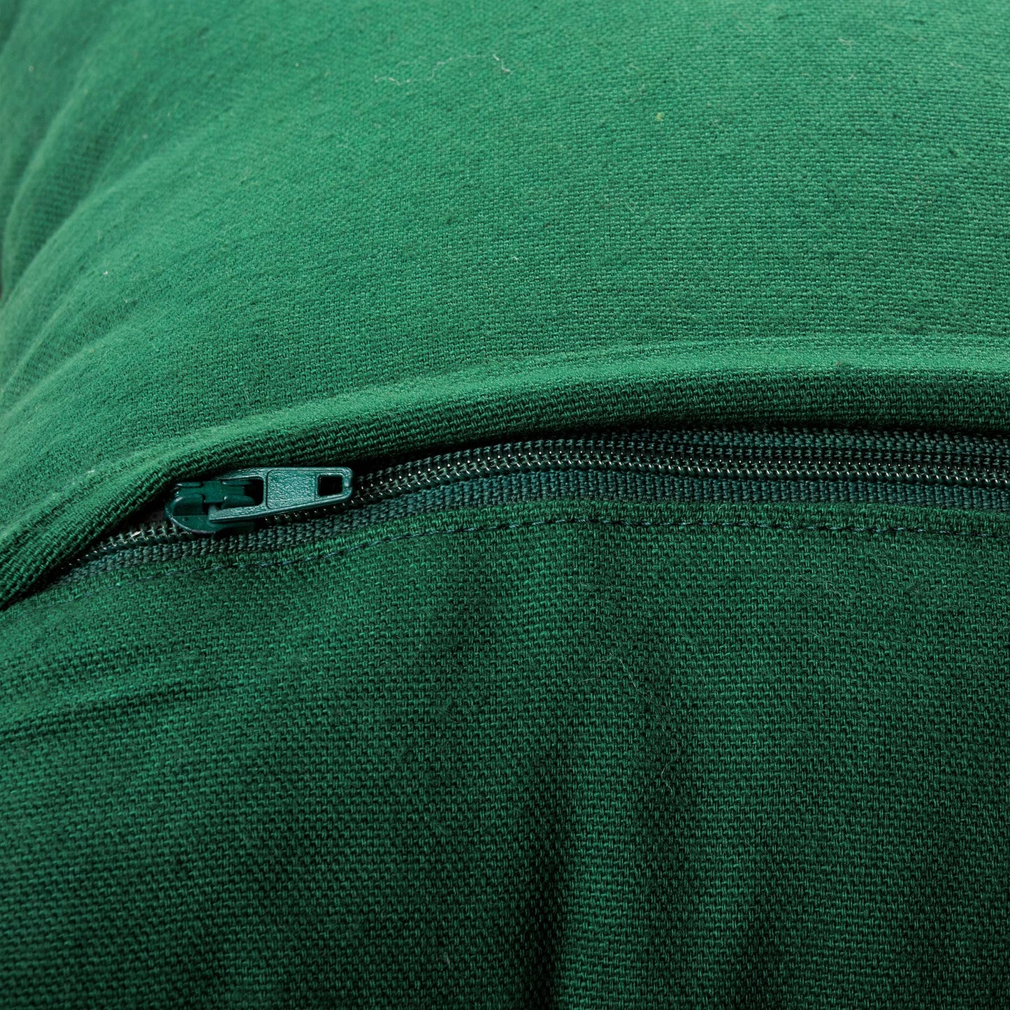 Wild And Free Pillow