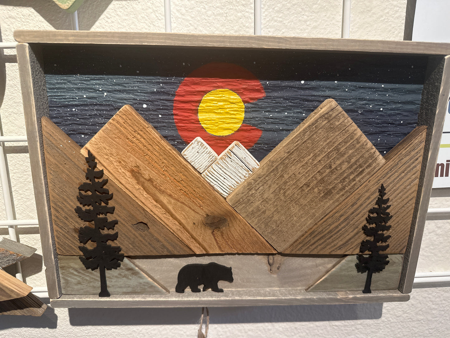 Colorado Mountains + Bear