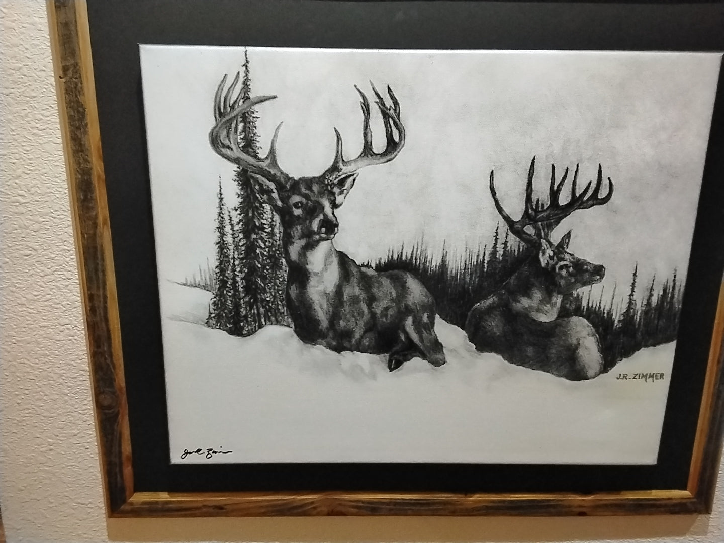 Wisconsin Whitetails