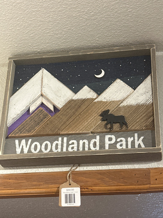 "Woodland Park" 11x9
