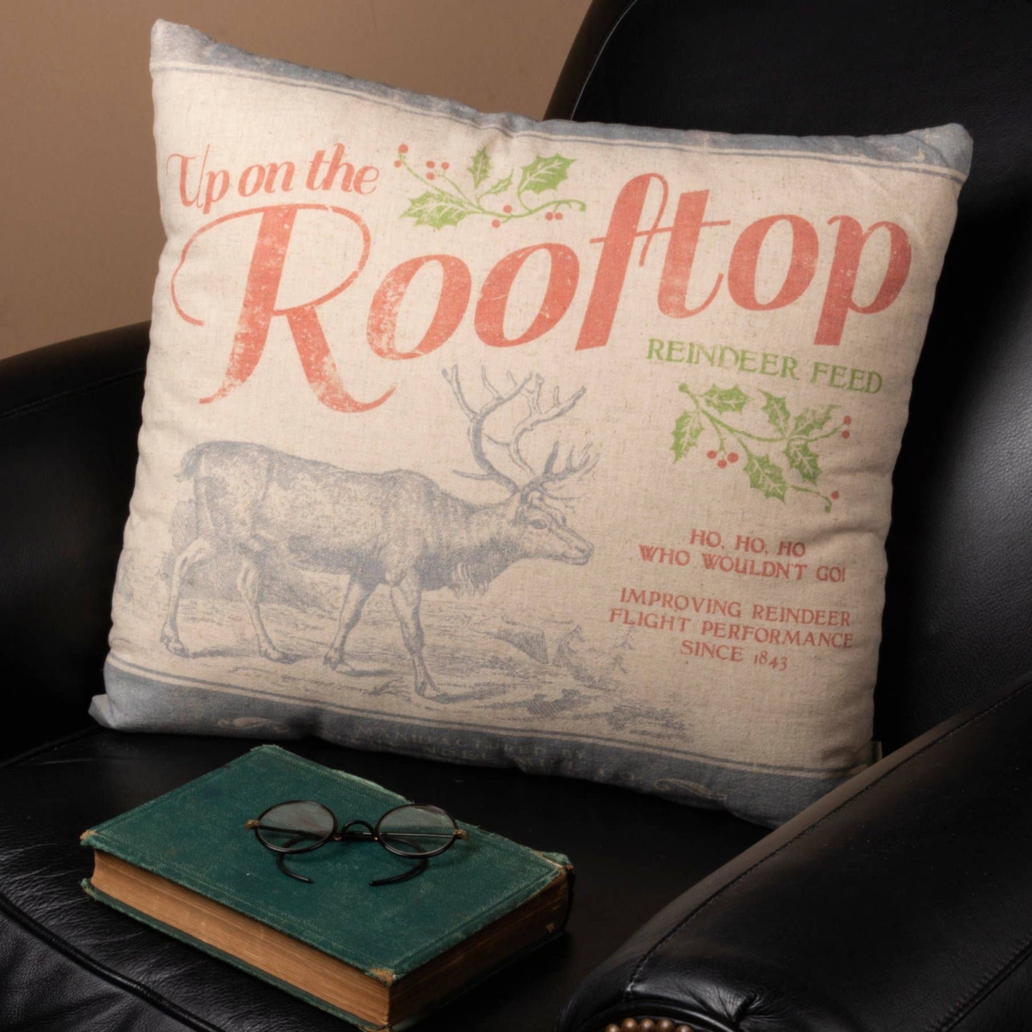 Up On The Rooftop Pillow