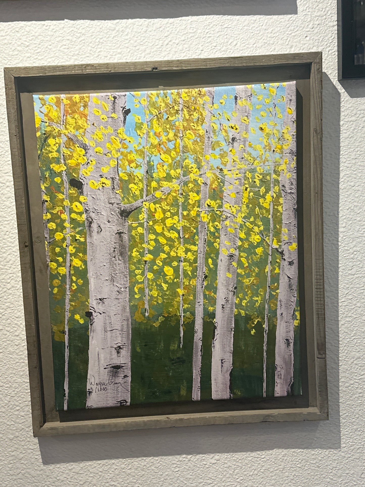 wayne aspen