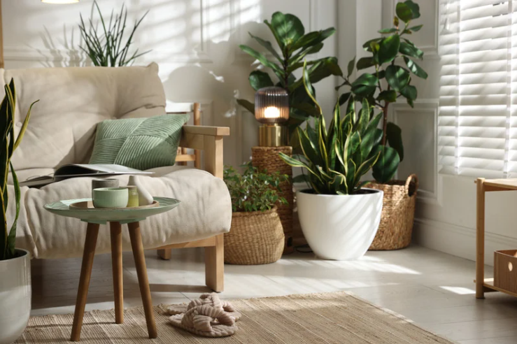 Spring Refresh Workshop- April 25
