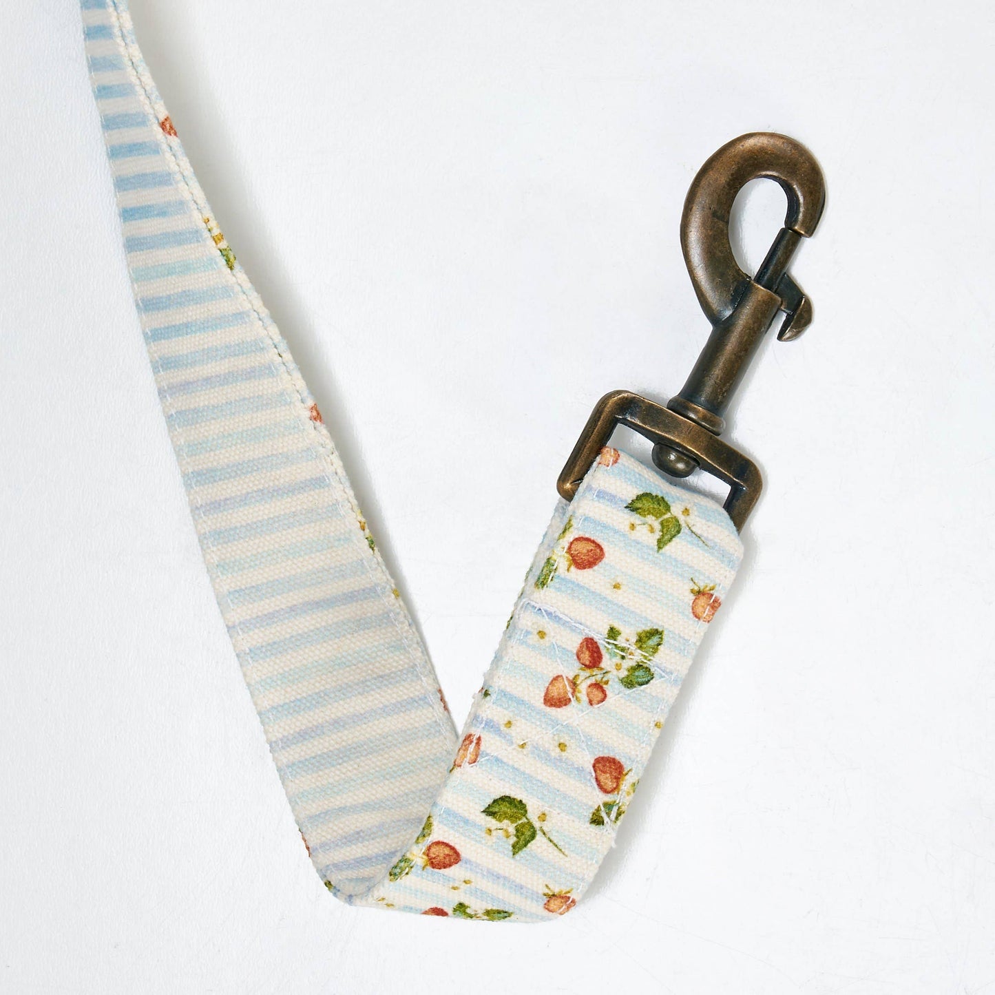 Strawberry Dog Leash