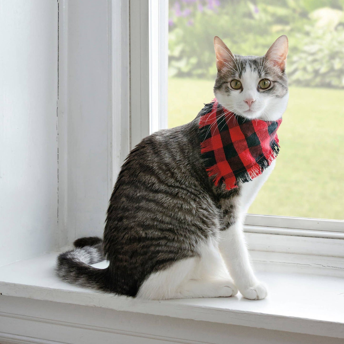 Buffalo Check Small Pet Bandana