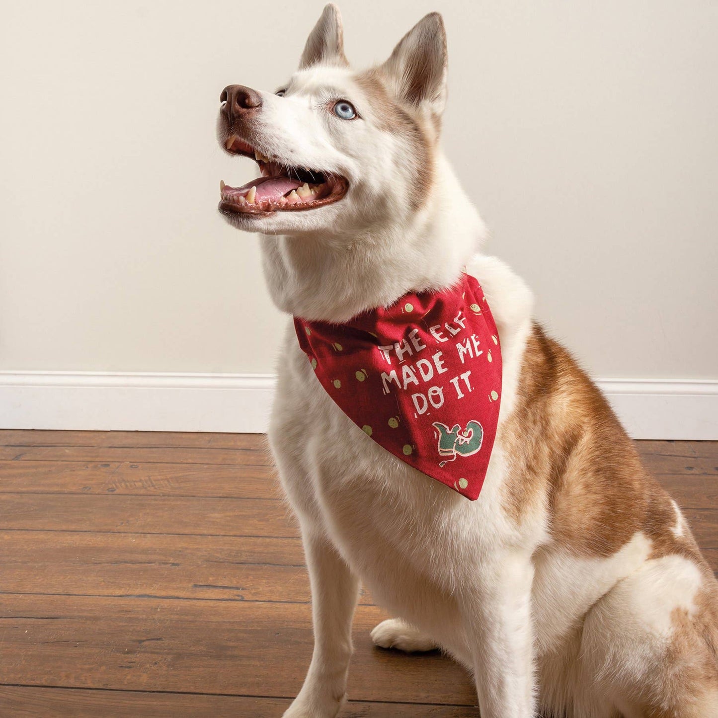 Elf Made Me/You Bake Large Collar Bandana