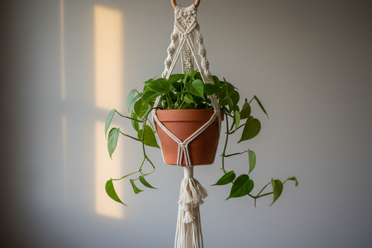 macrame plant hanger 