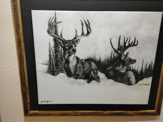 Wisconsin Whitetails